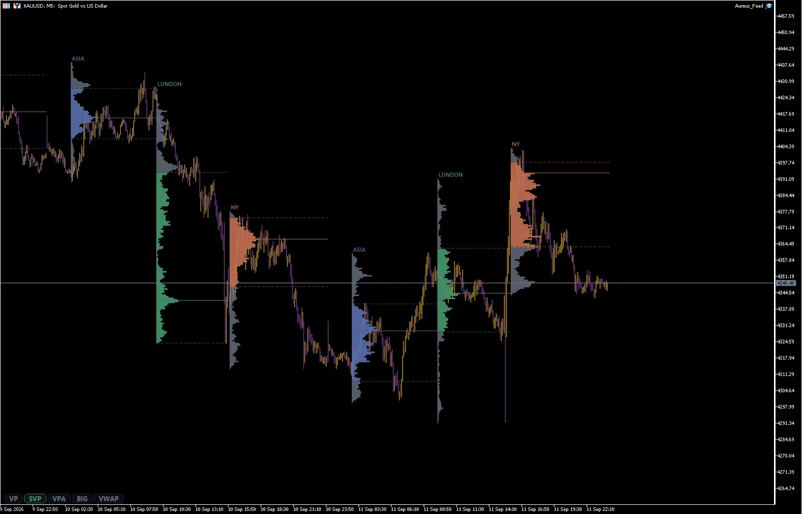 Session Volume Profile MT5