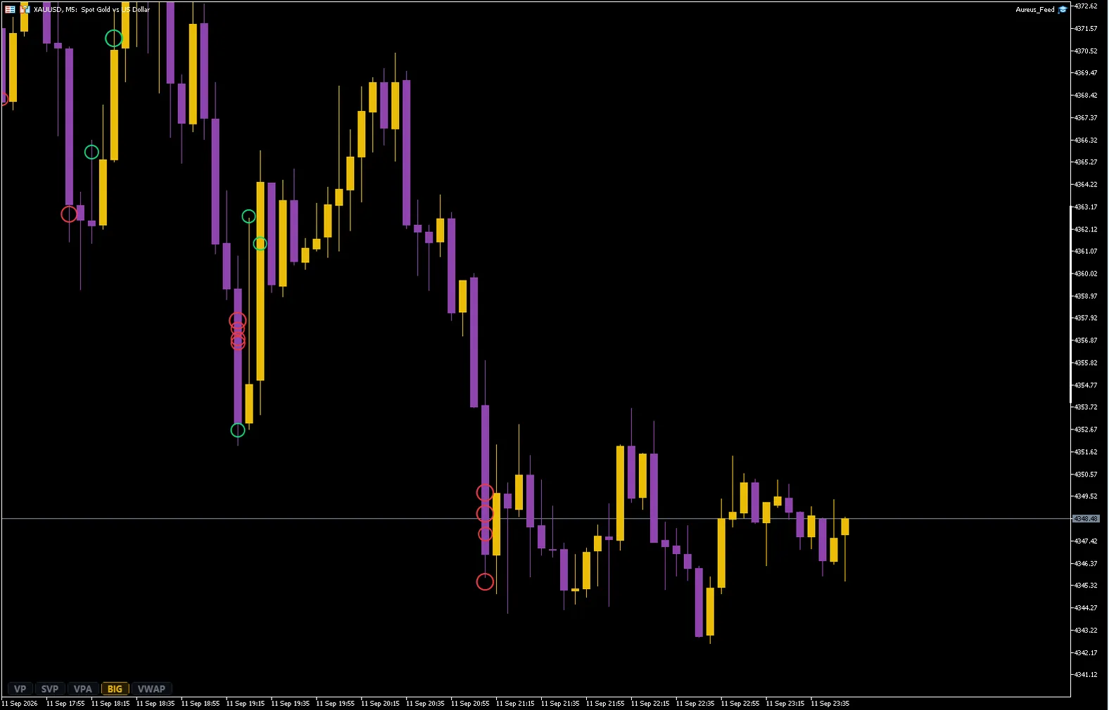 BigTrade MT5
